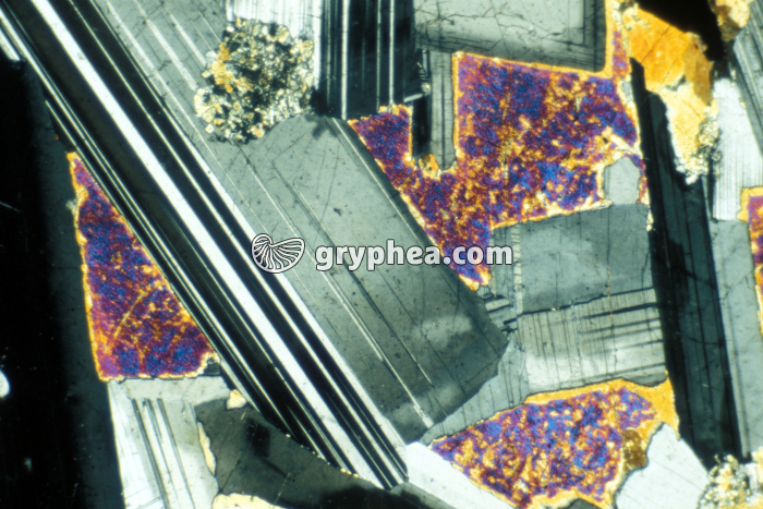 Plagioclase calcique (feldspath) LPA x 15 - gryphea.com